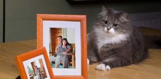 Jaką ramkę wybrać?