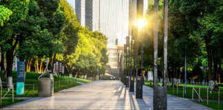 Współczesne trendy w kształtowaniu zieleni miejskiej