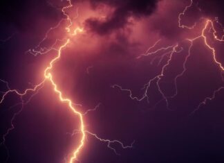 Jakie kliny do obalania drzew forum?