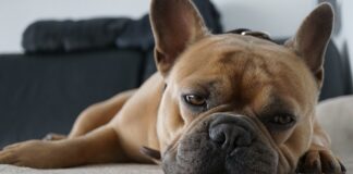 Jak powinno się siedzieć na kanapie?