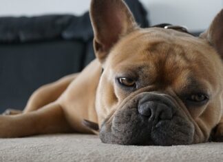 Jak powinno się siedzieć na kanapie?