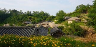 Ile kleju do płytek na 20 m2?