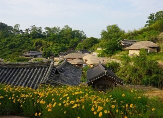 Ile kleju do płytek na 20 m2?