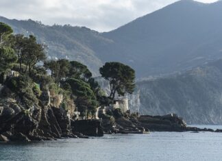 Ile kosztuje Trzonek do siekiery?