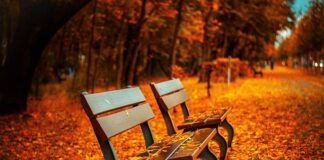 Jak elegancko siedzieć?