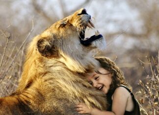 Jakie zęby do płytek 60x60?