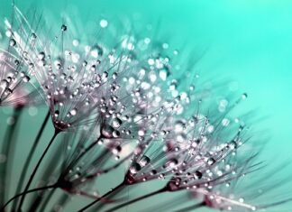 Czy kropelka można kleić styropian?