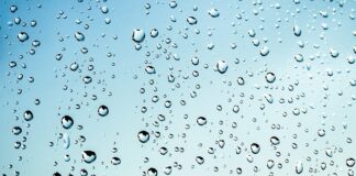 Czy przykrywać mokre drewno?