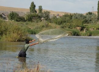 Czym zatopić siatkę?