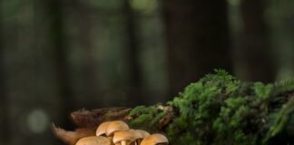 Na co montować listwy tynkarskie?