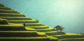 Co lepsze na taras klinkier czy gres?