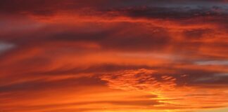 Jakim symbolem wg PN EN 12004 oznaczone są zaprawy klejowe Szybkowiążące?