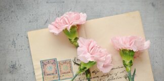 Czy oznaczenie D 4 w klejach oznacza?