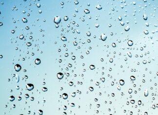 Czy mokre drewno strzela?