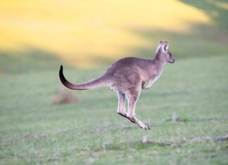 Co daje skakanie na piłce przed porodem?