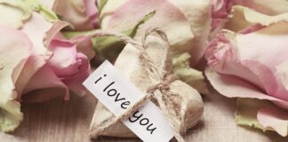 Co zrobić z cegieł klinkierowych?