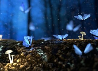 Ile drewna na 1 tonę węgla?