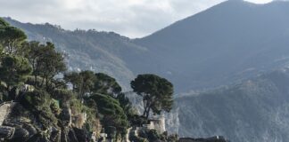 Ile kosztuje klej do tapet?