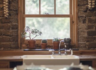 Czy czosnek działa na ziemiórki?