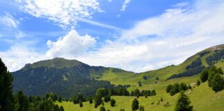 Jakie kleje do płytek?