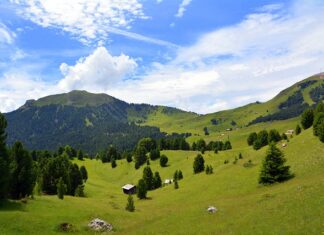 Jakie kleje do płytek?