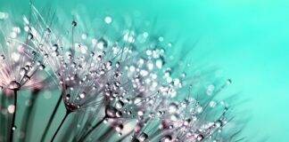 Do czego nie klei się Kropelka?