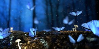 Co to jest magiczny klej?