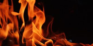 Czy można palić mokrym drewnem w piecu?