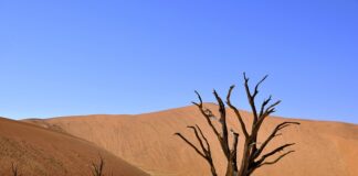 Jaka jest najlepsza ceramika łazienkowa?