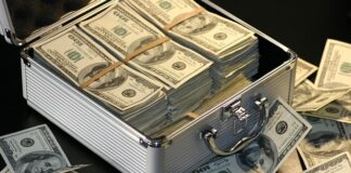 Ile zarabia ogrodnik?