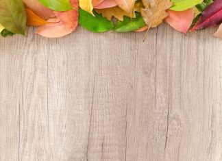 Czy można budować w granicy bez zgody sąsiada?