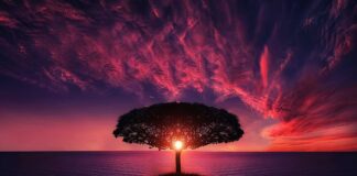 Jak zrobić chmurę z balonów?