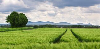 Jak zmierzyć rozstaw baterii?