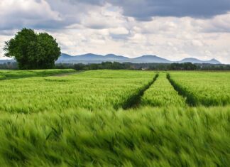 Jak zmierzyć rozstaw baterii?