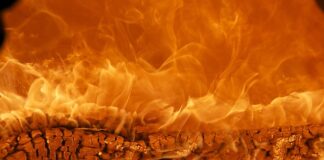 Co to za marka reihe?