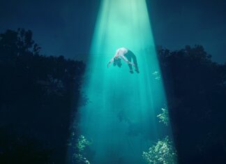 Jaka powinna być wysokość stopnia schodów?