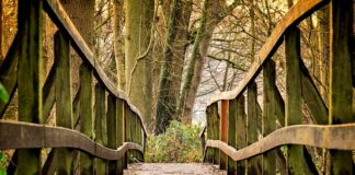 Jakie balustrady do drewnianych schodów?