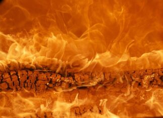 Co to za marka Omnires?