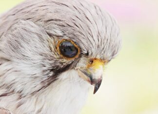 Co nie jest obiektem budowlanym?