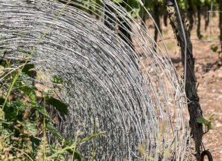 Czy sąsiad może się odgrodzić do mojego ogrodzenia?