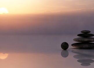 Czy Rea to dobra firma?