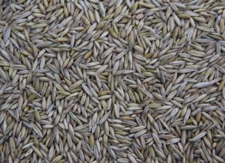 Kto produkuje baterie Deante?