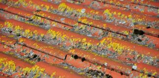 Kiedy powinno się rozkładać basen?