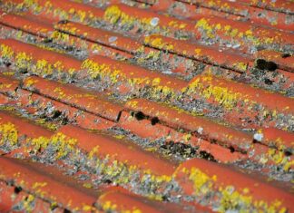 Kiedy powinno się rozkładać basen?