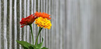 Czy trzeba zgłosić budowę ogrodzenia?