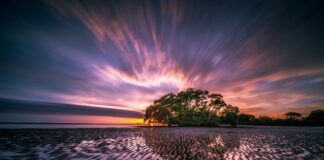 Jaka odległość odpływu WC od ściany?