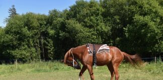 Kiedy montować anemostaty?